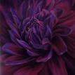 Sahasrara (Crown Chakra)
